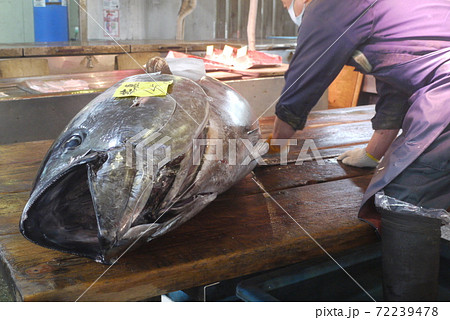 大間産本マグロの解体とマグロの競り。 大間産本マグロの解体とマグロの競り。 72239478