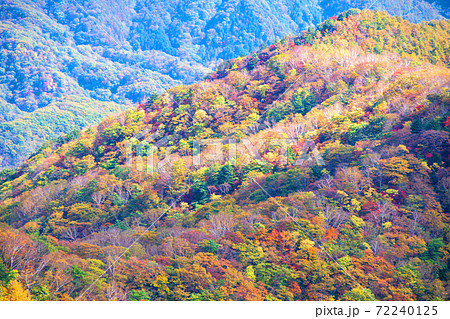 日光 半月峠第2駐車場からの眺望 紅葉景色 秋景色 日光 半月峠第2駐車場からの眺望 紅葉景色 秋景色 72240125