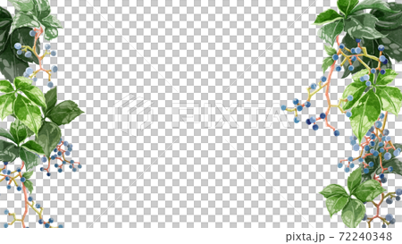 葉っぱと木の実の背景フレームのイラスト素材