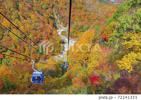 ドラゴンドラからの苗場高原 秋 72241355