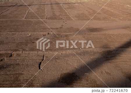 農地 農地 72241670