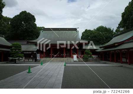 藤崎八旛宮‗熊本 72242266