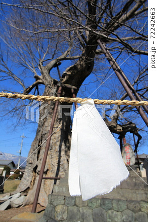 ご神木「十日市場の大ケヤキ」 in 山梨 ご神木「十日市場の大ケヤキ」 in 山梨 72242663