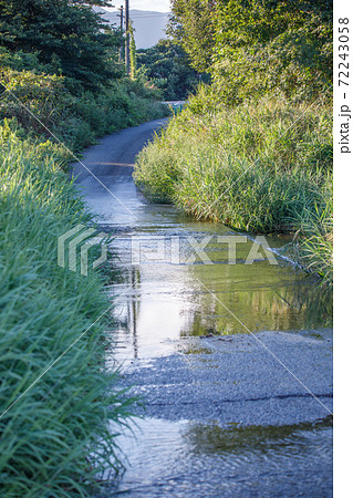 朝明川洗い越し 朝明川洗い越し 72243058