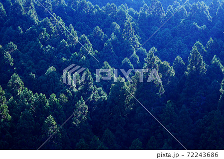 世界遺産 紀伊山地の山林 世界遺産 紀伊山地の山林 72243686