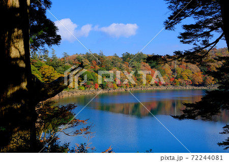 木の間から見える紅葉と美しい湖 72244081