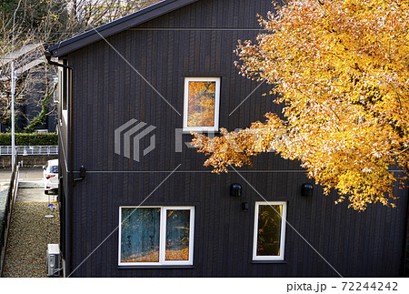 残る秋・日当たりが良い秋の日 残る秋・日当たりが良い秋の日 72244242