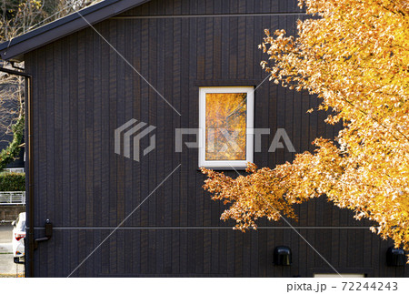 残る秋・日当たりが良い秋の日 72244243