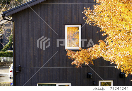 残る秋・日当たりが良い秋の日 72244244