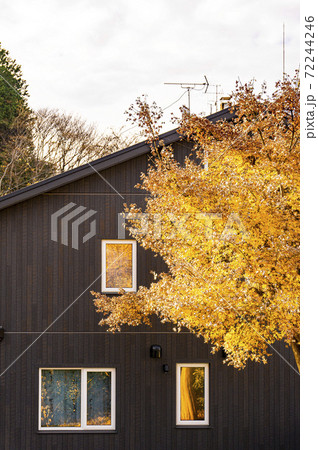 残る秋・日当たりが良い秋の日 72244246