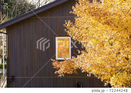 残る秋・日当たりが良い秋の日 72244248