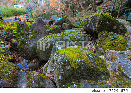 鬼岩公園　苔岩　岐阜県 72244676
