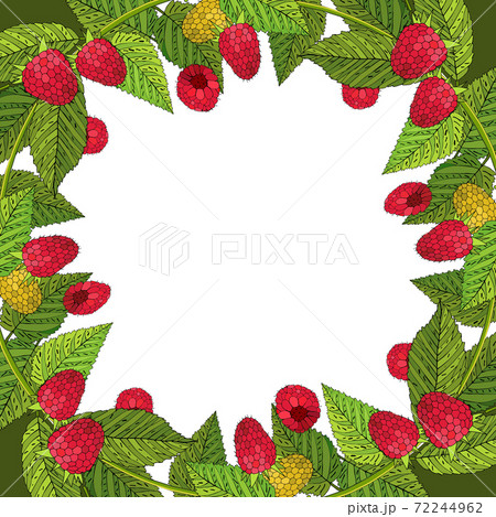 Summer template with ripe raspberries and leaves Summer template with ripe raspberries and leaves 72244962