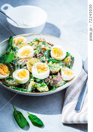 Traditional potato salad with bacon and eggs in white bowl. Picnic food concept. Traditional potato salad with bacon and eggs in white bowl. Picnic food concept. 72245030