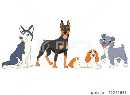 Cute cartoon pet set 72245638