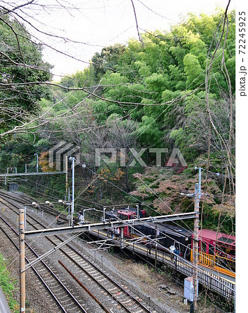 京都　嵯峨野　トロッコ嵐山駅と列車（小倉山山麓、初冬） 72245925