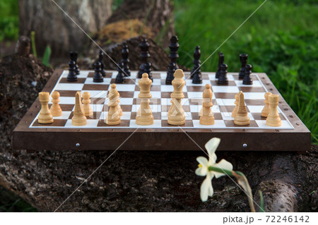 Chess board with chess pieces on tree trunk and green grass. 72246142