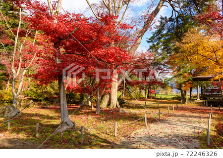 日本庭園の紅葉 日本庭園の紅葉 72246326