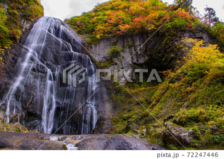 日本の滝100選　安の滝の紅葉 72247446