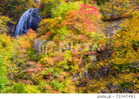 日本の滝100選　安の滝の紅葉 72247491