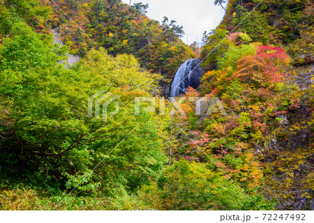 日本の滝100選　安の滝の紅葉 72247492