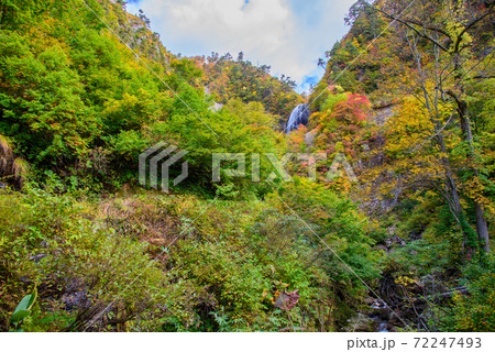 日本の滝100選　安の滝の紅葉 72247493