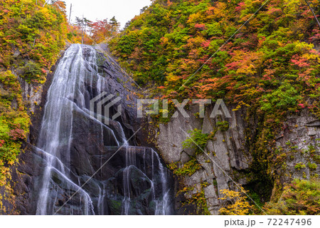 日本の滝100選　安の滝の紅葉 72247496
