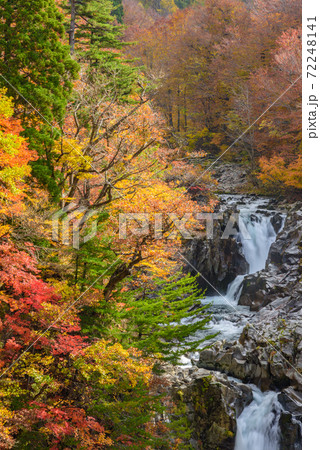 秋の法体の滝 72248141
