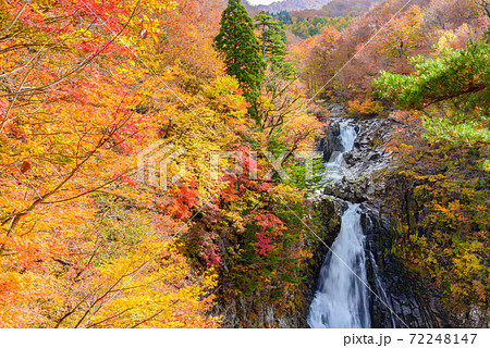 秋の法体の滝 72248147