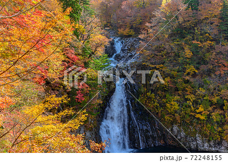 秋の法体の滝 72248155