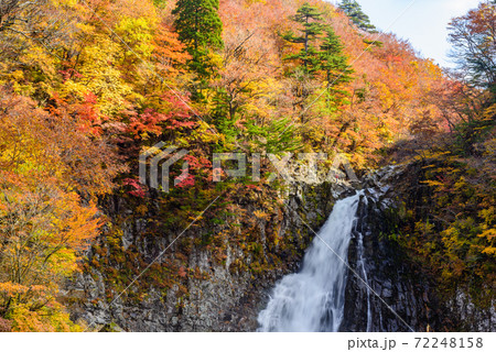 秋の法体の滝 72248158