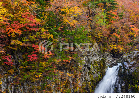 秋の法体の滝 72248160