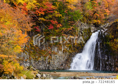 秋の法体の滝 72248165