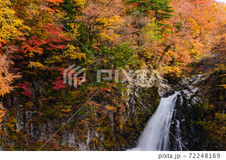 秋の法体の滝 72248169