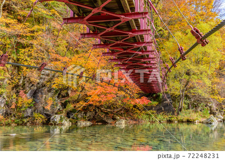 紅葉のつり橋 72248231
