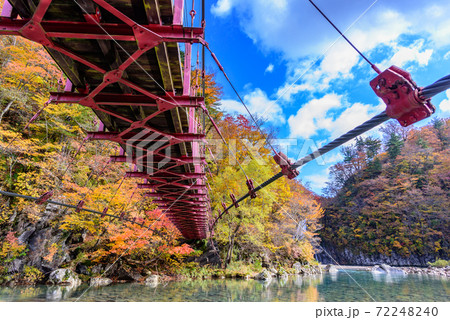 紅葉のつり橋 紅葉のつり橋 72248240