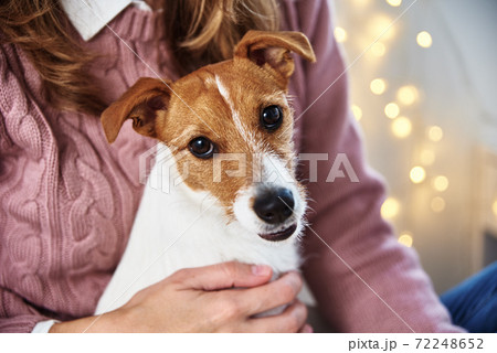 Woman with a pet dog relaxing. Pet care concept 72248652