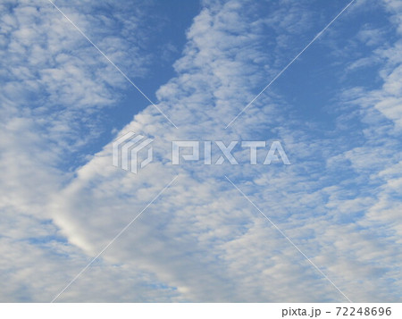 こじま花の会花畑のの冬の青空と白い雲 72248696
