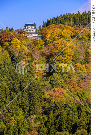 稲庭城の紅葉 72249437