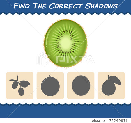 Find the correct shadows of cartoon kiwis. Searching and Matching game. Educational game for pre shool years kids and toddlers 72249851