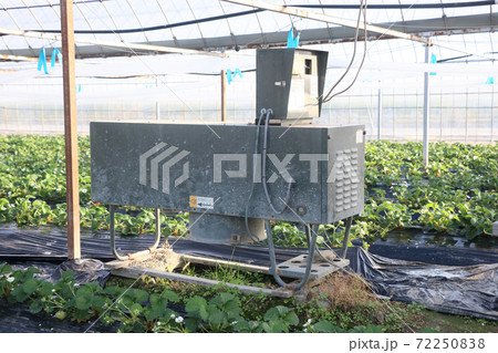 イチゴ 二酸化炭素発生装置 イチゴ 二酸化炭素発生装置 72250838