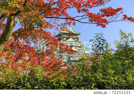 大阪城公園界隈　都会の紅葉 72251135