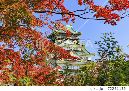 大阪城公園界隈　都会の紅葉 72251136