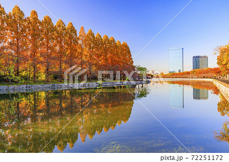 大阪城公園界隈　都会の紅葉 72251172
