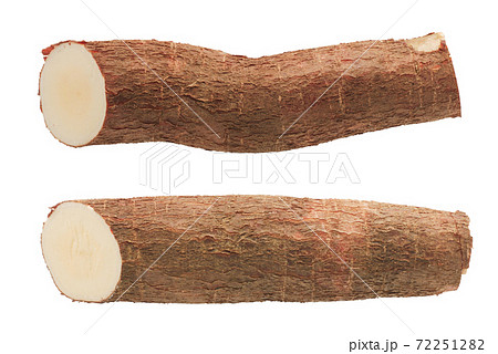 Cassava root isolated on white background 72251282