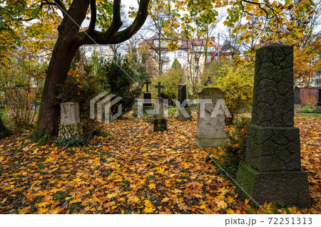 View of famous Old North Cemetery of Munich, Germany with historic gravestones. 72251313