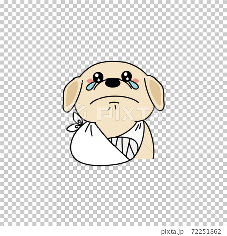 受傷的獵犬狗 72251862