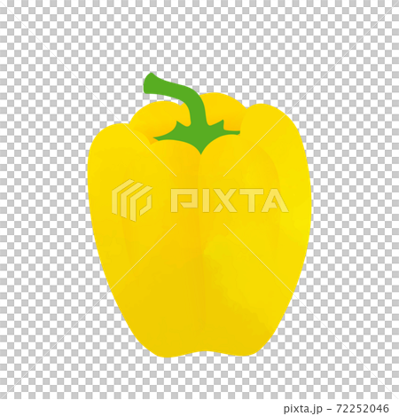 辣椒粉矢量插畫 72252046