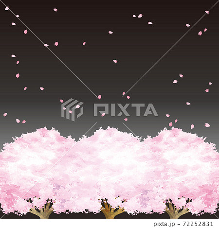 春 さくら 夜桜 水彩 フレーム コピースペース イラスト素材のイラスト素材