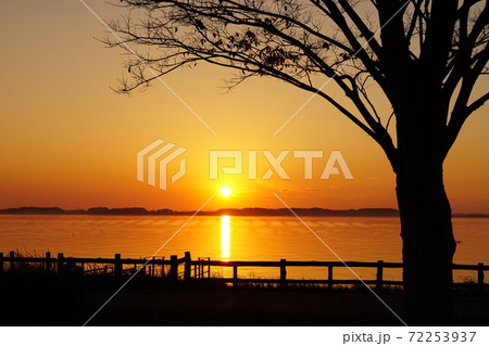 師走の夕焼け 金色に輝く茨城県霞ヶ浦の夕陽 晩秋の風景 師走の夕焼け 金色に輝く茨城県霞ヶ浦の夕陽 晩秋の風景 72253937